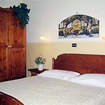 Viola 3*