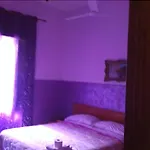 Viola