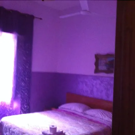 Hotel Viola