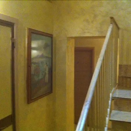 Viola Hotel 3*