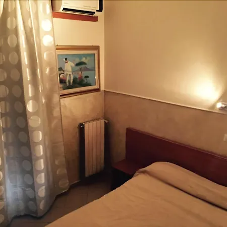 Hotel Viola 3*