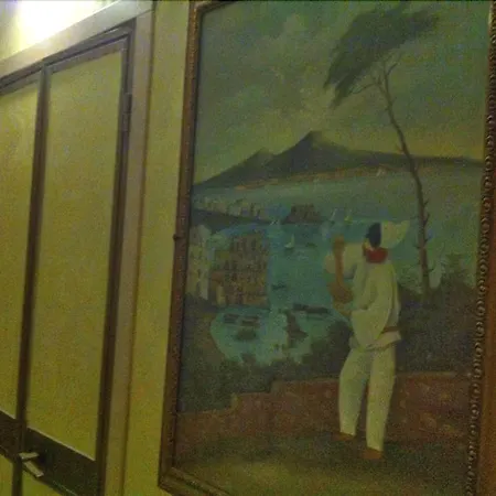 Viola Hotel 3*