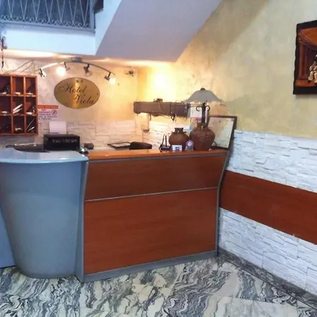 Hotel Hotel Viola